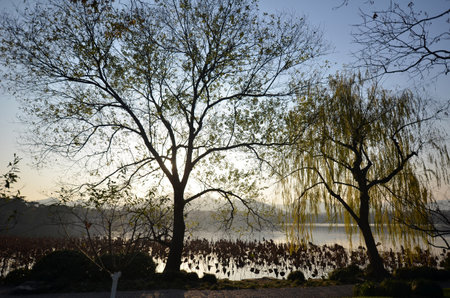Sunset around the West Lake in Hangzhou,Chinaのeditorial素材