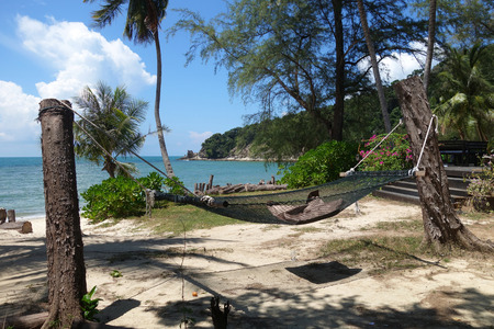 Cozy hammock in attached to tree on the tropical beach by the seaの写真素材