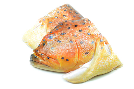 Grouper fish head isolated on white background