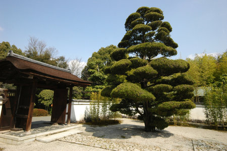 INUYAMA, JAPAN-23 APR, 2018: View of Jo-an Tea Ceremony House. Said to be one of the finest teahouses in the country, it was designated a National Treasure in 1951のeditorial素材