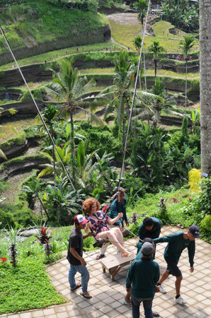 BALI, INDONESIA- 14 FEB, 2019: Foreign tourist swinging in the paddy field of Bali island.のeditorial素材