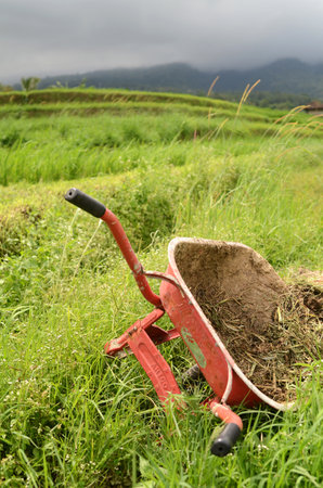 BALI, INDONESIA- 14 FEB, 2019: Red push cart located in Jatiluwih rice terraces in Bali, Indonesia.のeditorial素材