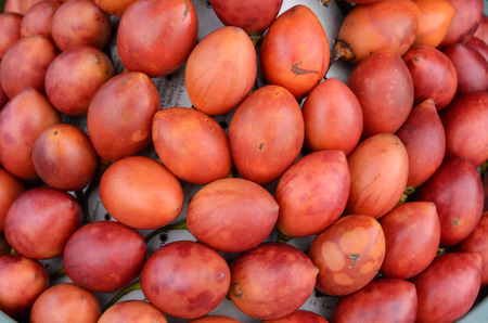 Tree tomato also known as tamarilloの写真素材
