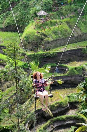 BALI, INDONESIA- 14 FEB, 2019: Foreign tourist swinging in the paddy field of Bali island.のeditorial素材