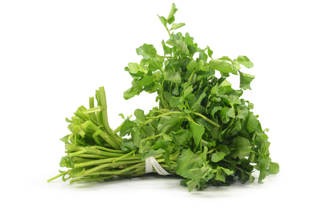 Freshly picked organic watercress isolated on white backgroundの写真素材