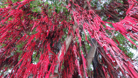 SEKINCHAN, MALAYSIA - 09 MAR, 2019: Wishing words written on red cloth with steel washers hung onto an old banyan tree in Sekinchan, Malaysiaのeditorial素材