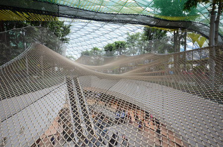 SINGAPORE, 11 Apr, 2019: View of Manulife Canopy Park located inside the Jewal Changi Airport in Singapore.のeditorial素材