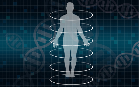 Human body medical scan on a blue background,3D renderingの写真素材