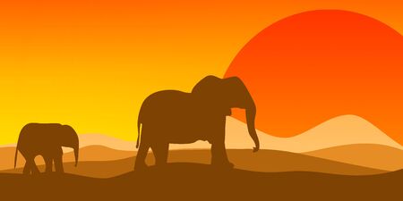 Landscape with desert and cactus, 3D renderingの写真素材