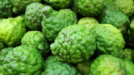 Bergamot fruit - kaffir lime on market for sellの写真素材