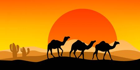Landscape with camel silhouette with sunset, 3D renderingの写真素材