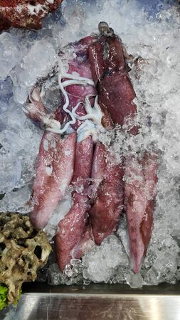 Fresh cooled squid on ice for sale in marketの写真素材