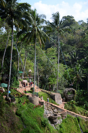 Bali, Indonesia- 18 Oct, 2019: Tegalalang rice terraces in Ubud, Bali. Tegalalang Rice Terrace is one of the famous tourist objectsのeditorial素材
