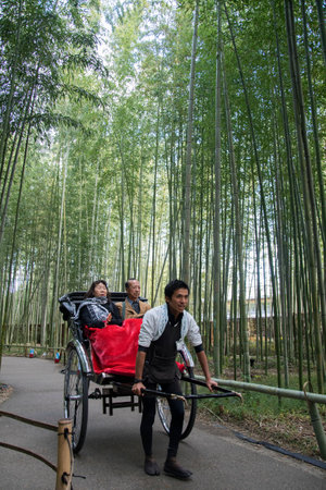 Kyoto, Japan-26 Nov, 2019: Pulled Rickshaw riding tourists trough a bamboo forest path at Arashiyama. Riding on a traditional Japanese rickshaw is one of the most popular activities for tourists in all of Japan.のeditorial素材