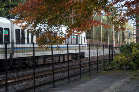 Kyoto, Japan-26 Nov, 2019: Sagano local train pass through Arashiyama in the autumn. Sagano Line is...
