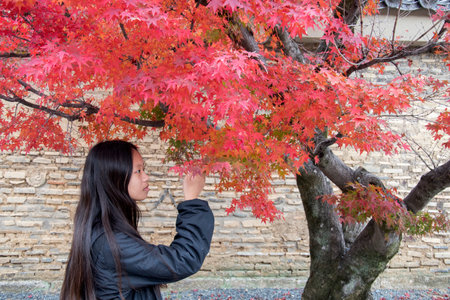 Kyoto, Japan-26 Nov, 2019: Visitor enjoys autumn at Tenryuji Temple in Arashiyama, Kyoto, Japan....