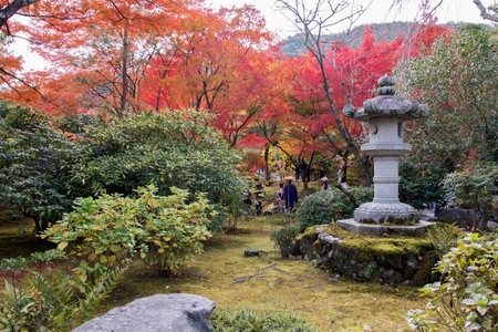 Kyoto, Japan-26 Nov, 2019: Visitors enjoy autumn at Tenryuji Temple in Arashiyama, Kyoto, Japan....