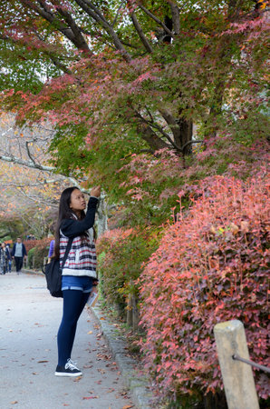 Kyoto, Japan- 24 Nov, 2019: People enjoy the beautiful colorful autumn leaves on Philosopher Path at in Kyoto, Japan.のeditorial素材