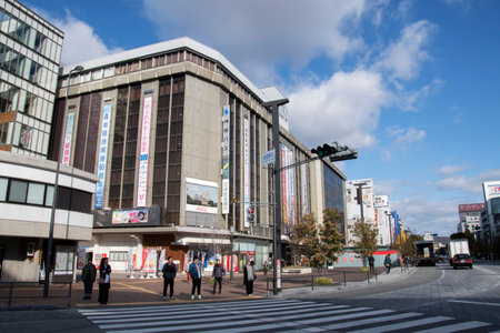 Himeji, Japan- 30 Nov, 2019: Street at Himeji in autumn, Japan. Himeji known for the sprawling, centuries-old and white castle.のeditorial素材