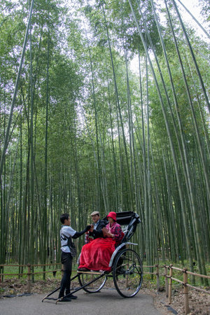 Kyoto, Japan-26 Nov, 2019: Pulled Rickshaw riding tourists trough a bamboo forest path at Arashiyama. Riding on a traditional Japanese rickshaw is one of the most popular activities for tourists in all of Japan.のeditorial素材