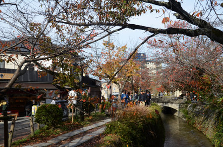 Kyoto, Japan- 24 Nov, 2019: Tourists observe fall colors along Philosopher's Path in Kyoto. The route is named for Nishida Kitaro, a renown Kyoto University Philosopher who used the path daily.のeditorial素材