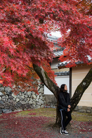 Kyoto, Japan-26 Nov, 2019: Visitor enjoys autumn at Tenryuji Temple in Arashiyama, Kyoto, Japan. Kyoto has 17 UNESCO World Heritage Site landmarks.のeditorial素材