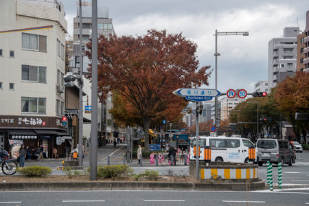 Kyoto, Japan- 25 Nov, 2019: Vehicle drive on the street in front of Nijo castle in Kyoto, Japan. Kyoto served as Japan capital and the emperor residence from 794 until 1868.のeditorial素材