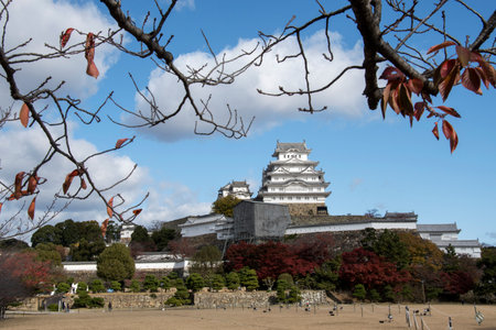 Himeji, Japan- 30 Nov, 2019: Beautiful white Himeji Castle in autumn season in Hyogo Prefecture, Japan. Himeji Castle is the largest and most visited castle in Japanのeditorial素材