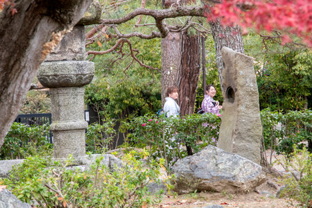 Kyoto, Japan- 27 Nov, 2019: People walking in the Maruyama Park in Kyoto. Maruyama Park is the oldest park in Kyoto.のeditorial素材