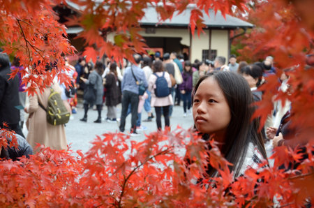 Kyoto, Japan- 24 Nov, 2019: People visit Ginkaku temple and gardens in Kyoto, Japan. The Jodo...
