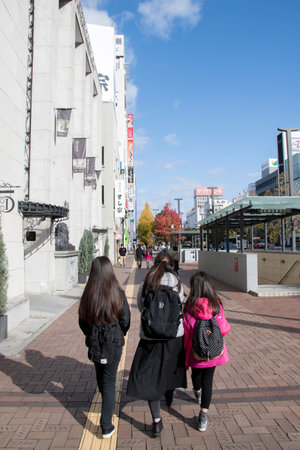 Himeji, Japan- 30 Nov, 2019: Street at Himeji in autumn, Japan. Himeji known for the sprawling,...
