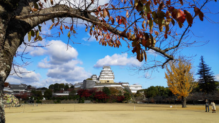 Himeji, Japan- 30 Nov, 2019: Beautiful white Himeji Castle in autumn season in Hyogo Prefecture, Japan. Himeji Castle is the largest and most visited castle in Japanのeditorial素材