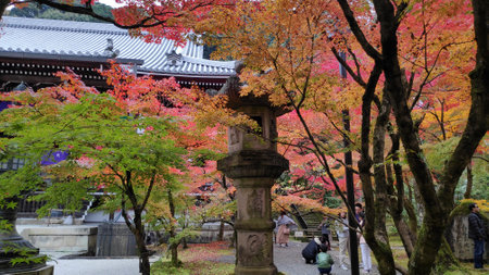 Kyoto, Japan- 25 Nov, 2019: Tourist enjoy the autumn garden tree in Golden Pavilion Kinkakuji Temple at Kyoto Japanのeditorial素材