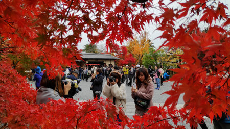 Kyoto, Japan- 25 Nov, 2019: Tourist enjoy the autumn garden tree in Golden Pavilion Kinkakuji Temple...