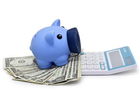 Blue piggy bank and US dollars with calculator on white backgroundの写真素材