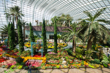 Singapore- Sep 9, 2021: Inside view of the Flower Dome at Gardens ny the Bay, Singaporeのeditorial素材