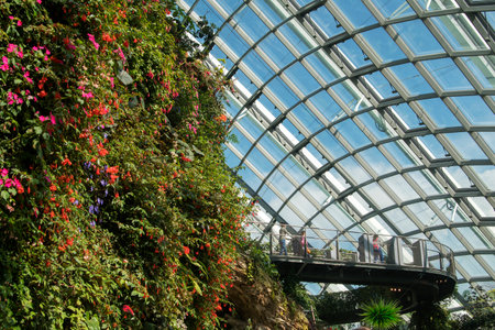 Singapore- Sep 9, 2021: The Cloud Forest in the Gardens by the Bay. Flower Dome and the Cloud Forest cooled conservatories are two must visit places for tourists.のeditorial素材