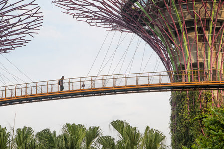 Singapore- Sep 9, 2021: OCBC Skyway aerial walkway between Supertree Grove artificial tree...