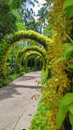 Singapore- 16 Oct, 2021: Flower arches at the National Orchid Garden at Singapore Botanic Gardensのeditorial素材