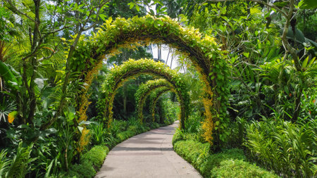 Singapore- 16 Oct, 2021: Flower arches at the National Orchid Garden at Singapore Botanic Gardensのeditorial素材