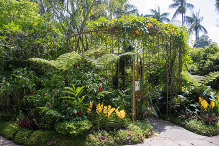 Singapore- 16 Oct, 2021: View of the beauty of National Orchid Garden inside Singapore Botanic Gardens.のeditorial素材