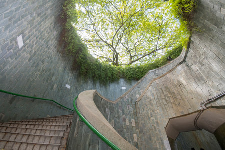 Singapore- 14 Nov, 2021: Beautiful natural giant tree and underground spiral staircase at Fort Canning Parkのeditorial素材
