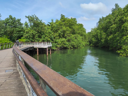 Singapore Dec 29 2021: View of Bukit Chermin Boardwalk in Singapore. It is built on the sea along the coastal foothill of Bukit Chermin.のeditorial素材