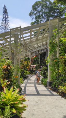 Singapore- 16 Oct, 2021: Tourists enjoy the beauty of National Orchid Garden inside Singapore Botanic Gardens.のeditorial素材