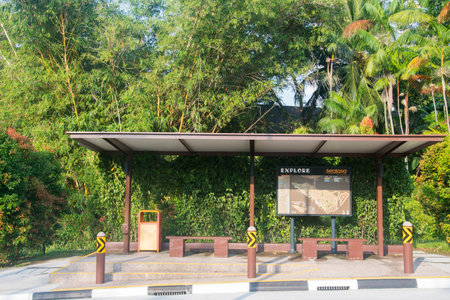 Singapore- Apr 2, 2022: Bus stop located in Sentosa island, Singapore. Sentosa Express provides free shuttle to travel around the island.のeditorial素材