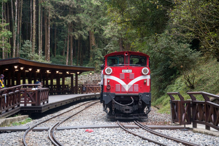 Alishan, Taiwan- 7 Dec, 2022: Public Train leaves from Sacred Tree Station in Alishan National...