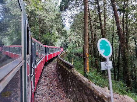 Alishan, Taiwan- 7 Dec, 2022: Forest train in Alishan National Scenic Area. The Forest Train is a...