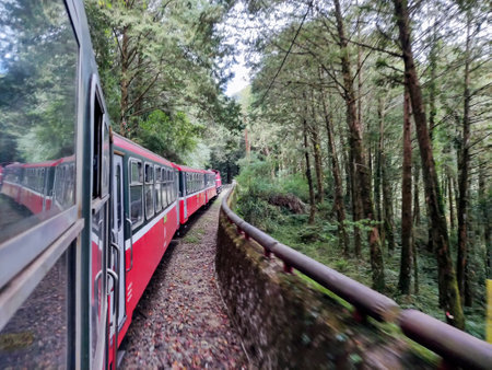 Alishan, Taiwan- 7 Dec, 2022: Forest train in Alishan National Scenic Area. The Forest Train is a vintage train that one of the most popular activities for tourist.のeditorial素材