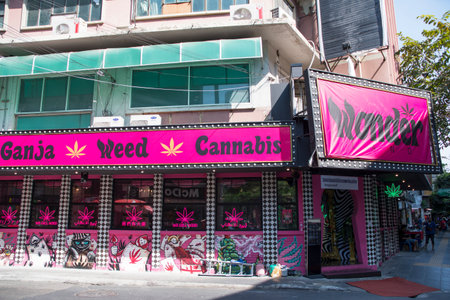 Bangkok, Thailand- 12 Feb, 2023: Shop sells cannabis on the street of Bangkok. Various shops have mushroomed in Bangkok since Thailand legalised the cultivation and sale of cannabisのeditorial素材