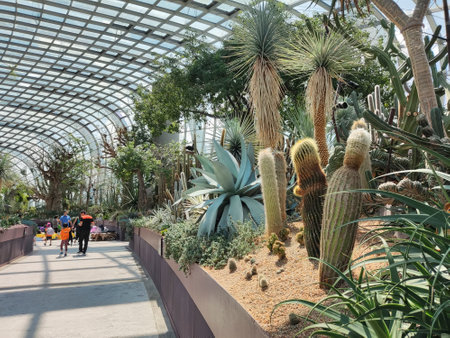 Singapore - 16 Jun, 2023:  The conservatory Flower Dome located at Park Gardens by the Bay, Singapore.のeditorial素材